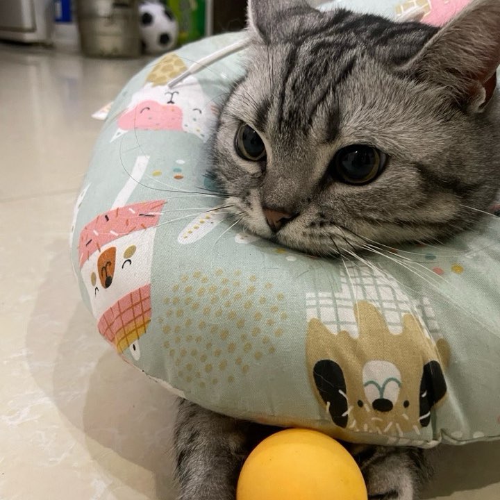 post