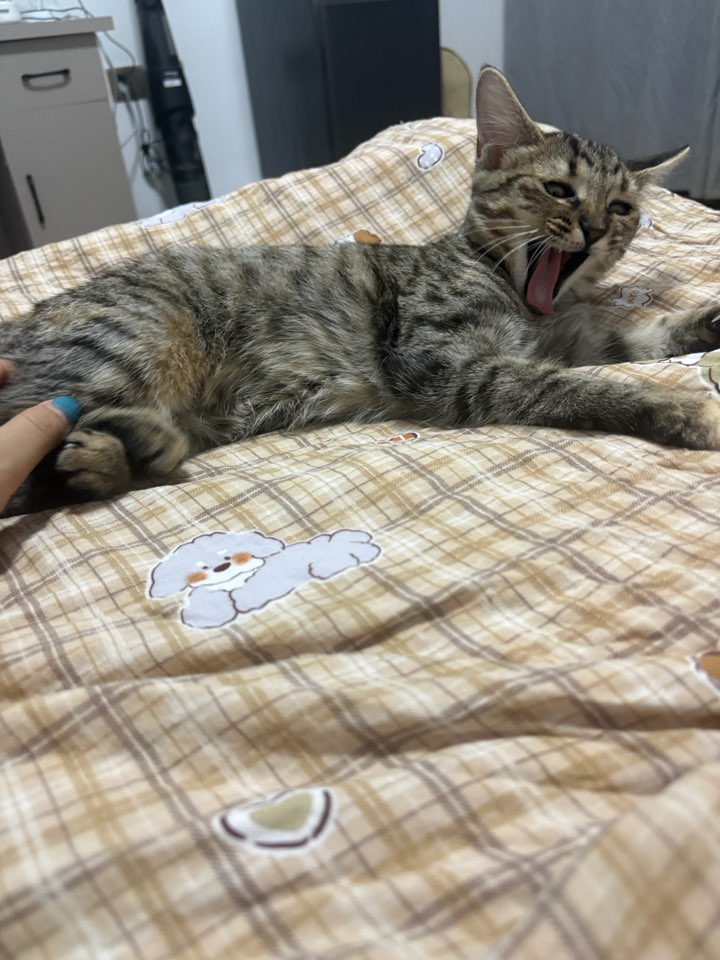 post