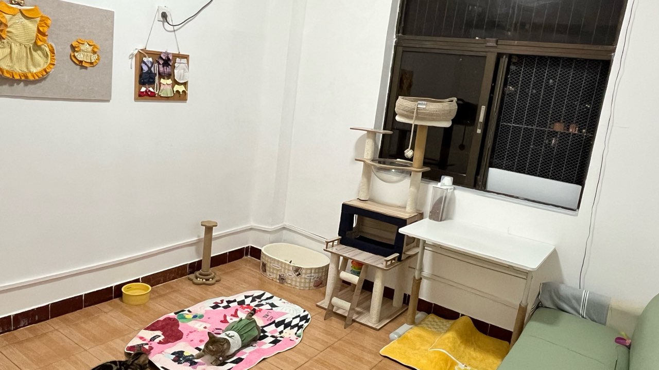 猫屋