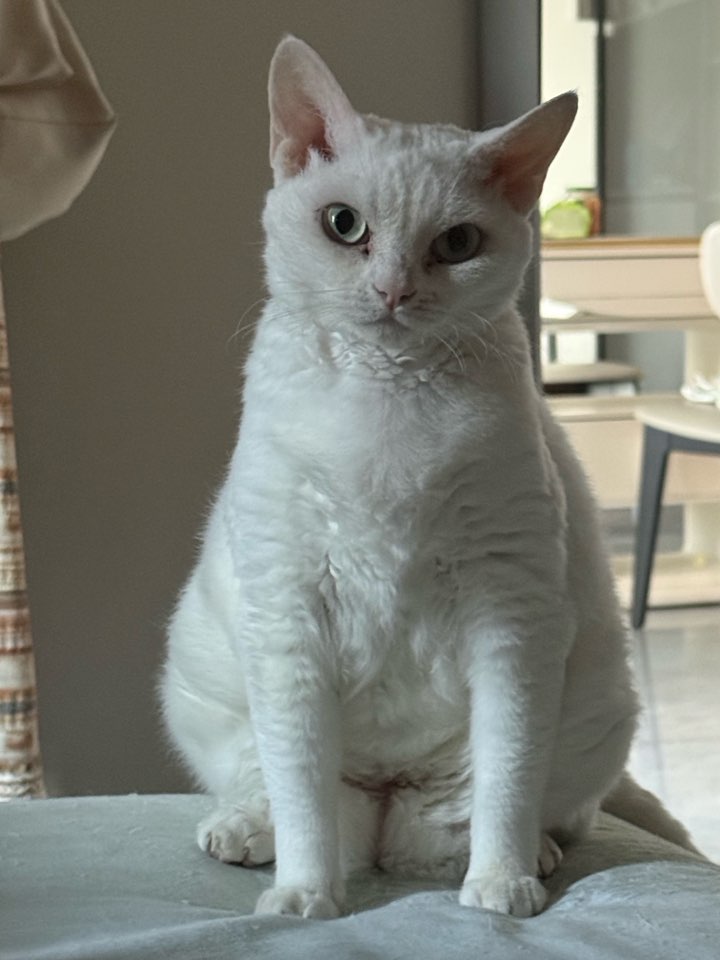 post